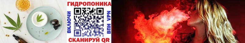 Купить закладки  Невель  Печенье с ТГК марихуана 