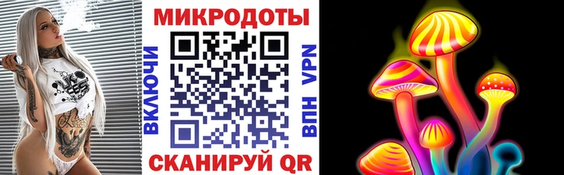 Купить где  Невель  Псилоцибиновые грибы GOLDEN TEACHER 